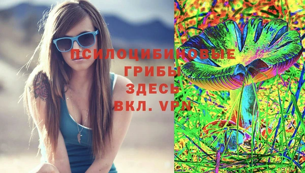 соль ск Алзамай