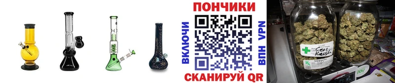 Бошки марихуана SATIVA & INDICA  omg ссылка  сайты даркнета наркотические препараты  Собинка 